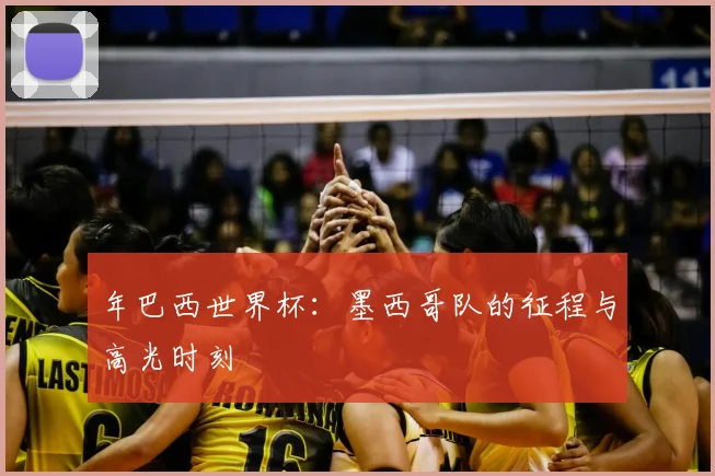 年巴西世界杯:墨西哥队的征程与高光时刻