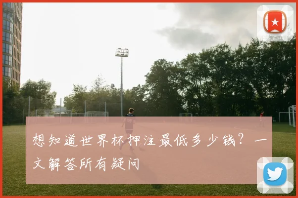 想知道世界杯押注最低多少钱？一文解答所有疑问