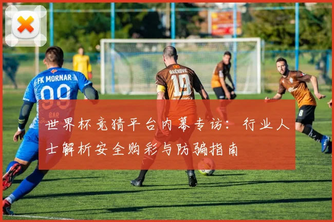 世界杯竞猜平台内幕专访:行业人士解析安全购彩与防骗指南