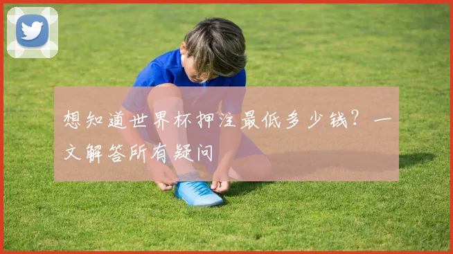 想知道世界杯押注最低多少钱？一文解答所有疑问
