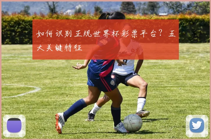 如何识别正规世界杯彩票平台？五大关键特征