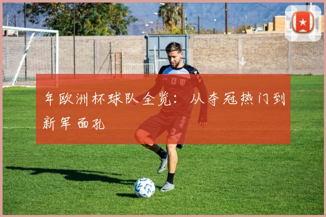 年欧洲杯球队全览：从夺冠热门到新军面孔