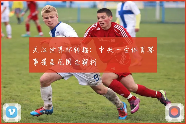 关注世界杯转播：中央一台体育赛事覆盖范围全解析