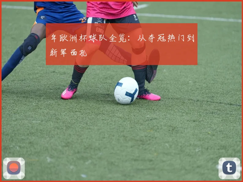 年欧洲杯球队全览：从夺冠热门到新军面孔