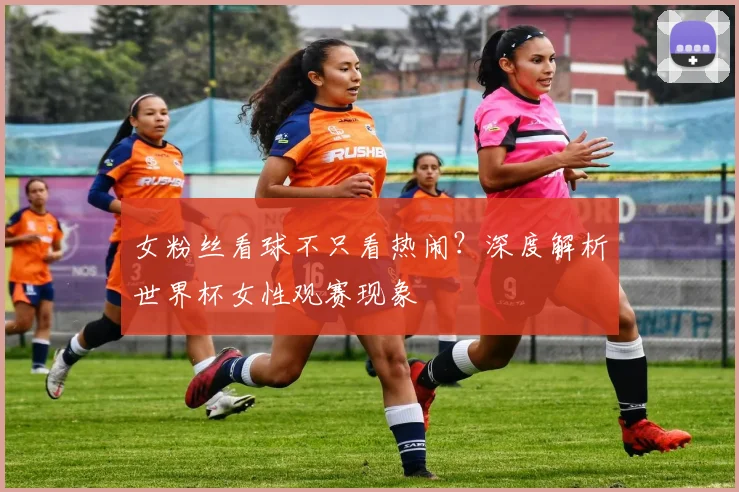 女粉丝看球不只看热闹？深度解析世界杯女性观赛现象