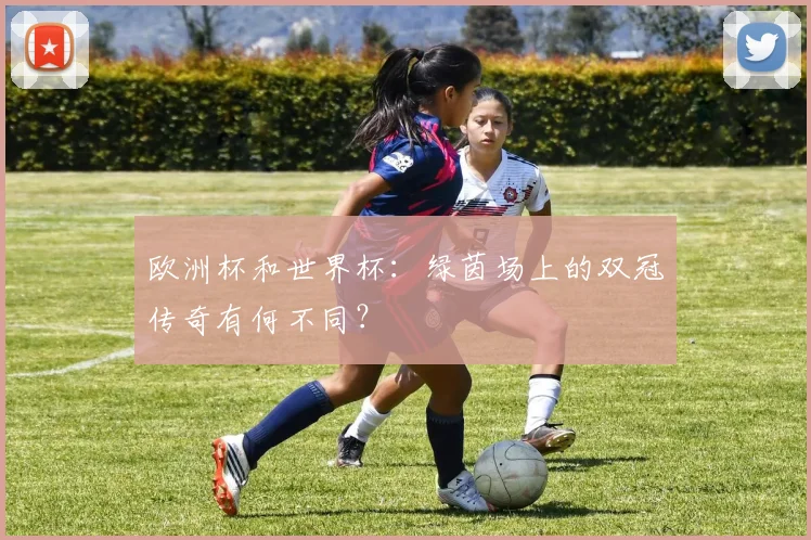 欧洲杯和世界杯：绿茵场上的双冠传奇有何不同？